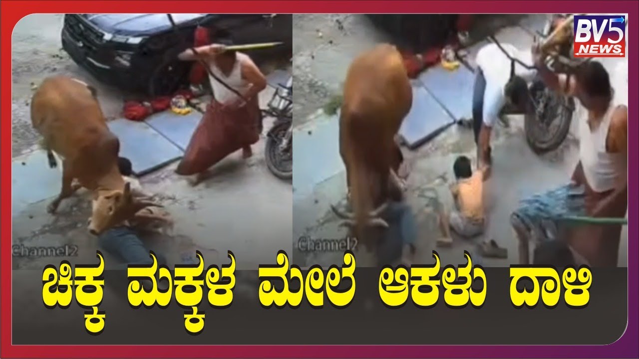 ರಾಯಚೂರು : ಚಿಕ್ಕ ಮಕ್ಕಳ ಮೇಲೆ ಆಕಳು ದಾಳಿ