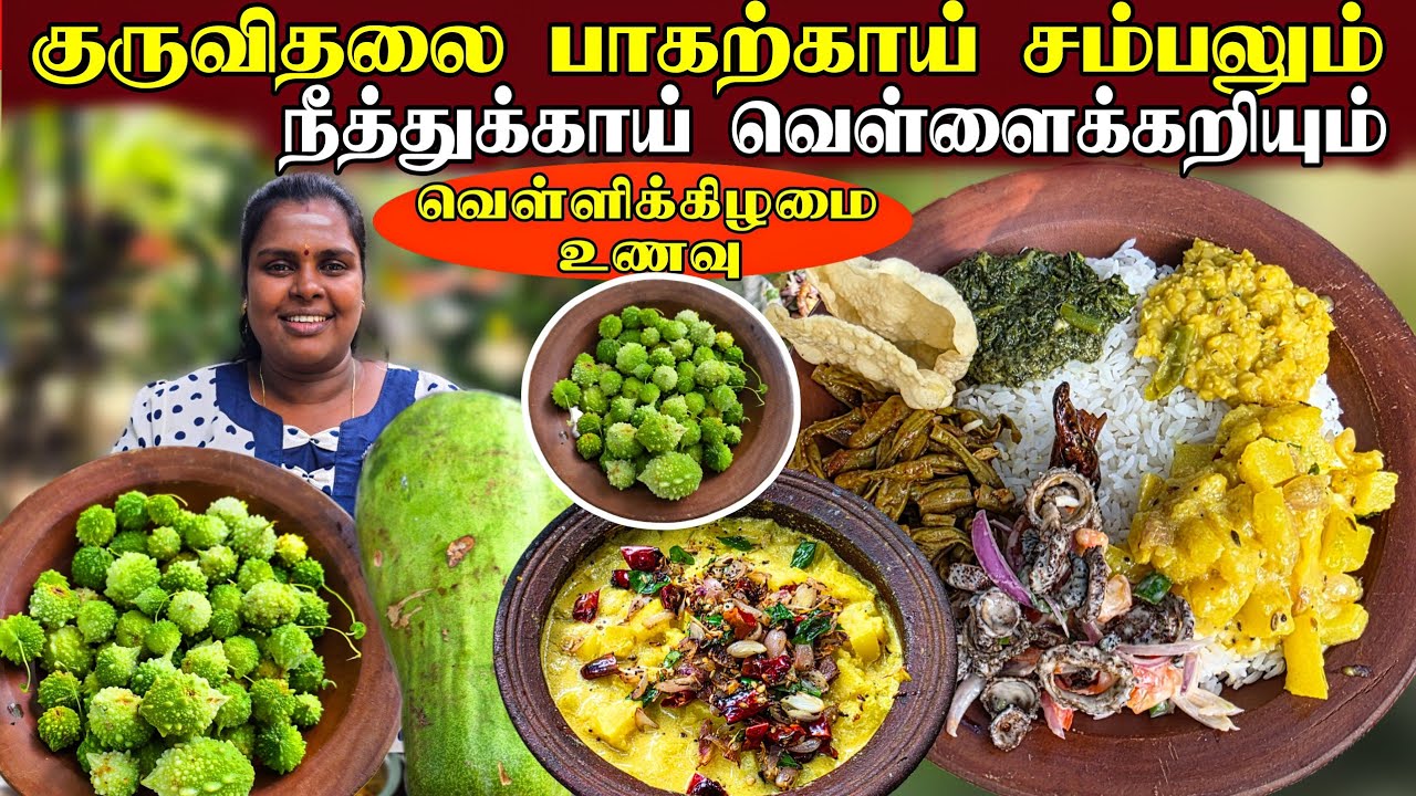 தேடியும் கிடைக்காத பாகற்காய் சம்பல்   | village life | vanni vlog