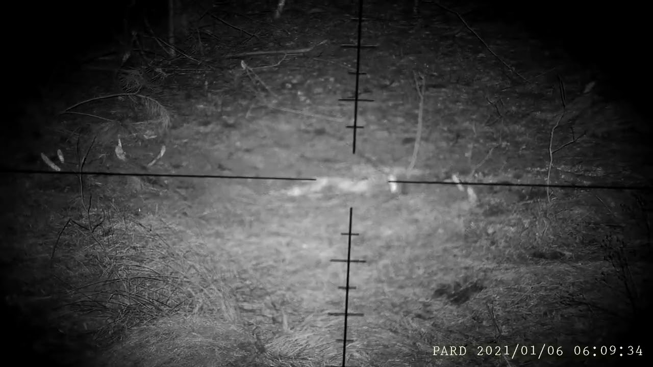 PARD 007s 850 + Delta Titanium 4.5-30 x 50 nęcisko 40m noc, wiązka rozproszona