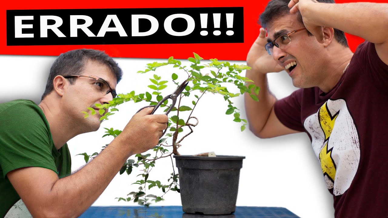 VOCÊ NÃO SABE PODAR SUA PLANTA!! Vou te mostrar!