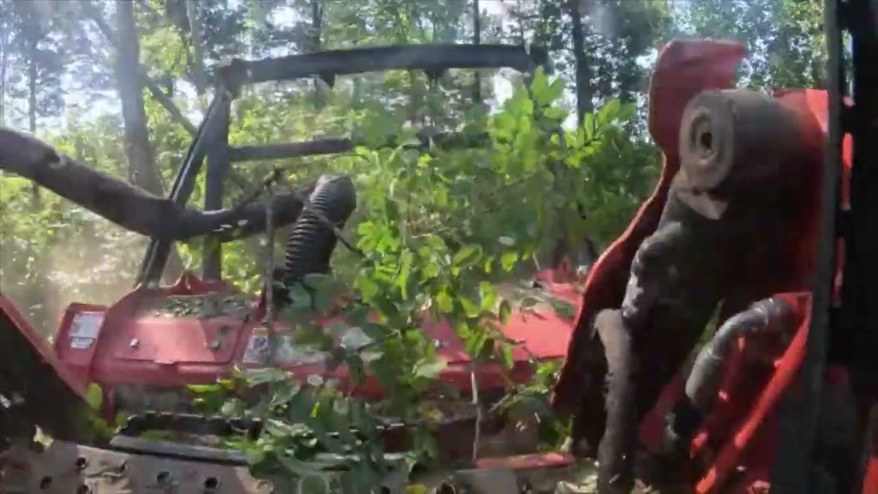 Forestry Mulcher Underbrushing a New Build Lot Lawrenceburg, Kentucky
