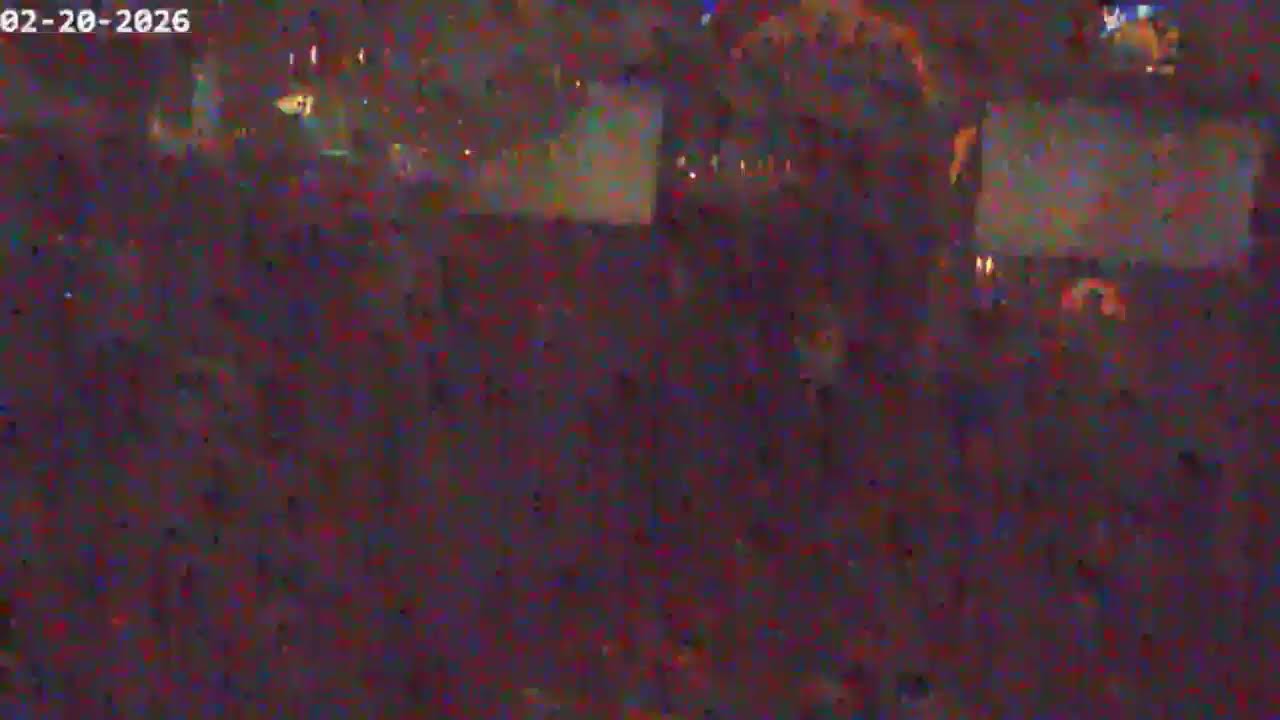 St Mary Chicago Live Stream
