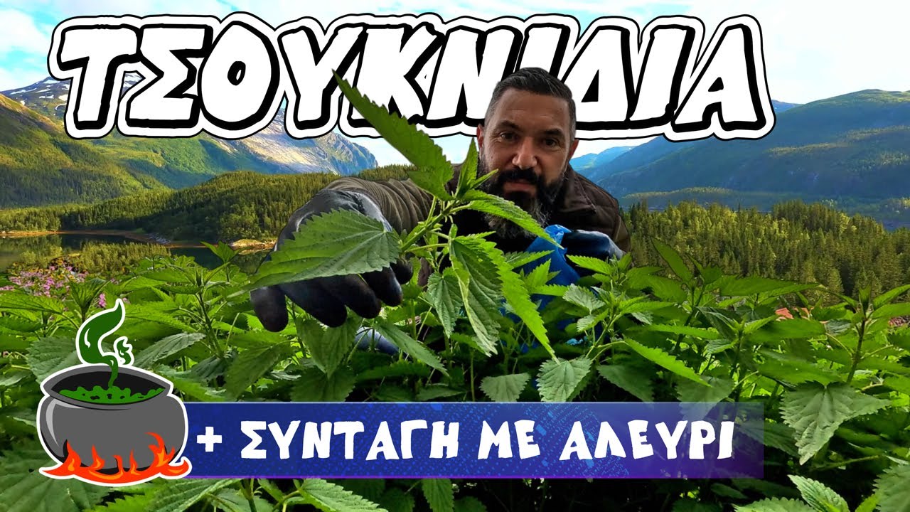 Πώς να Μαζέψεις και να Μαγειρέψεις Άγρια Τσουκνίδα | Συλλογή, Καθάρισμα & Παραδοσιακή Συνταγή