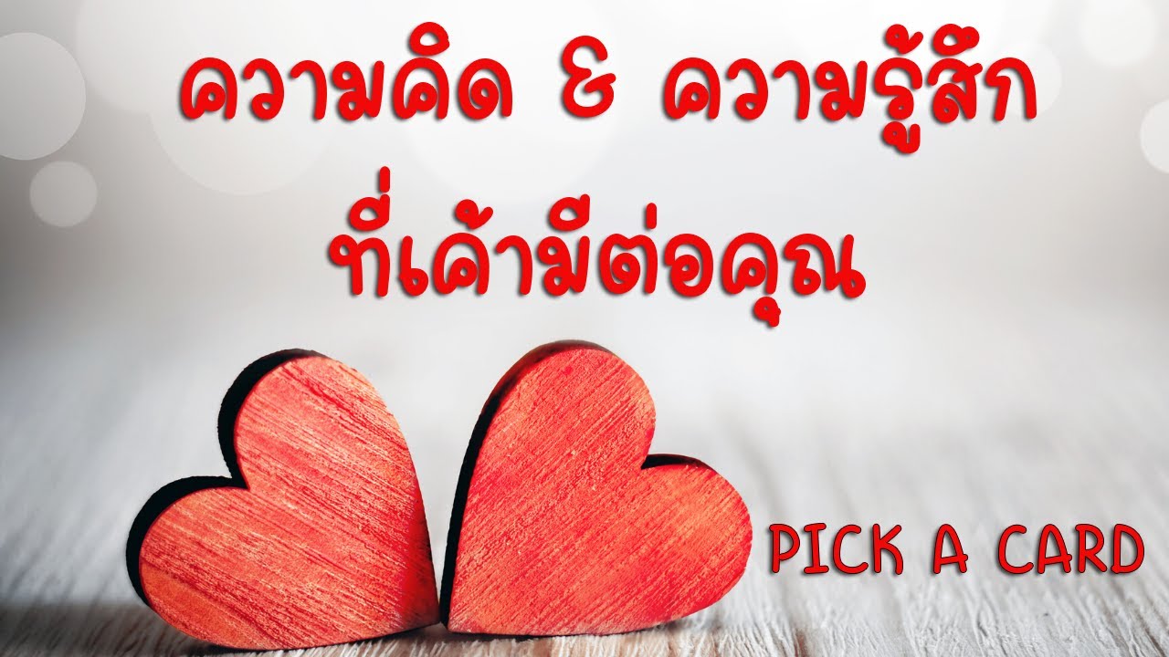 Pick a card ❤️ ความคิด & ความรู้สึกที่เค้ามีต่อคุณ...(Timeless)