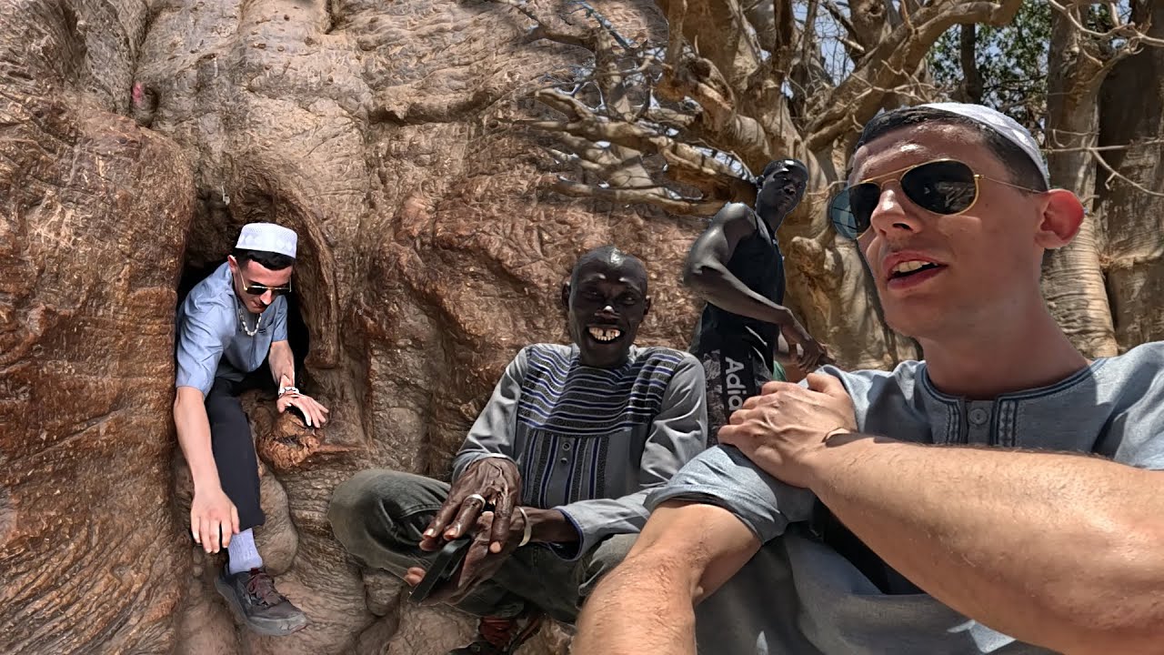 Exploring Senegal's Secret Burial Trees 🇸🇳