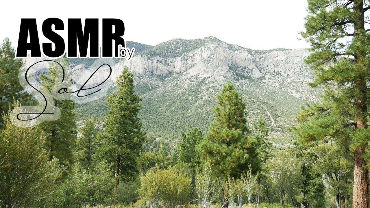 ASMR Caminando por la Montaña 🎧⛰🌲 Hiking up the Mountain | Sonidos de la Naturaleza + Relajación