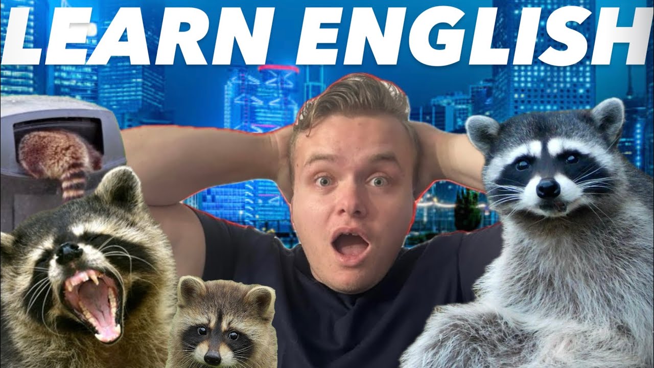 Beginner English Listening Practice: Raccoons, the Bandits of the Animal Kingdom