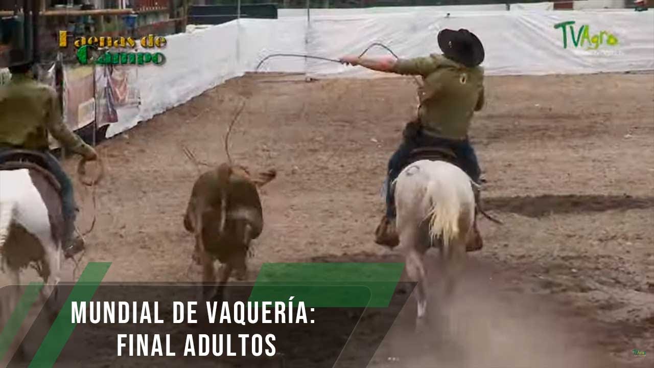 Mundial de vaquería: final adultos - TvAgro por Juan Gonzalo Angel Restrepo