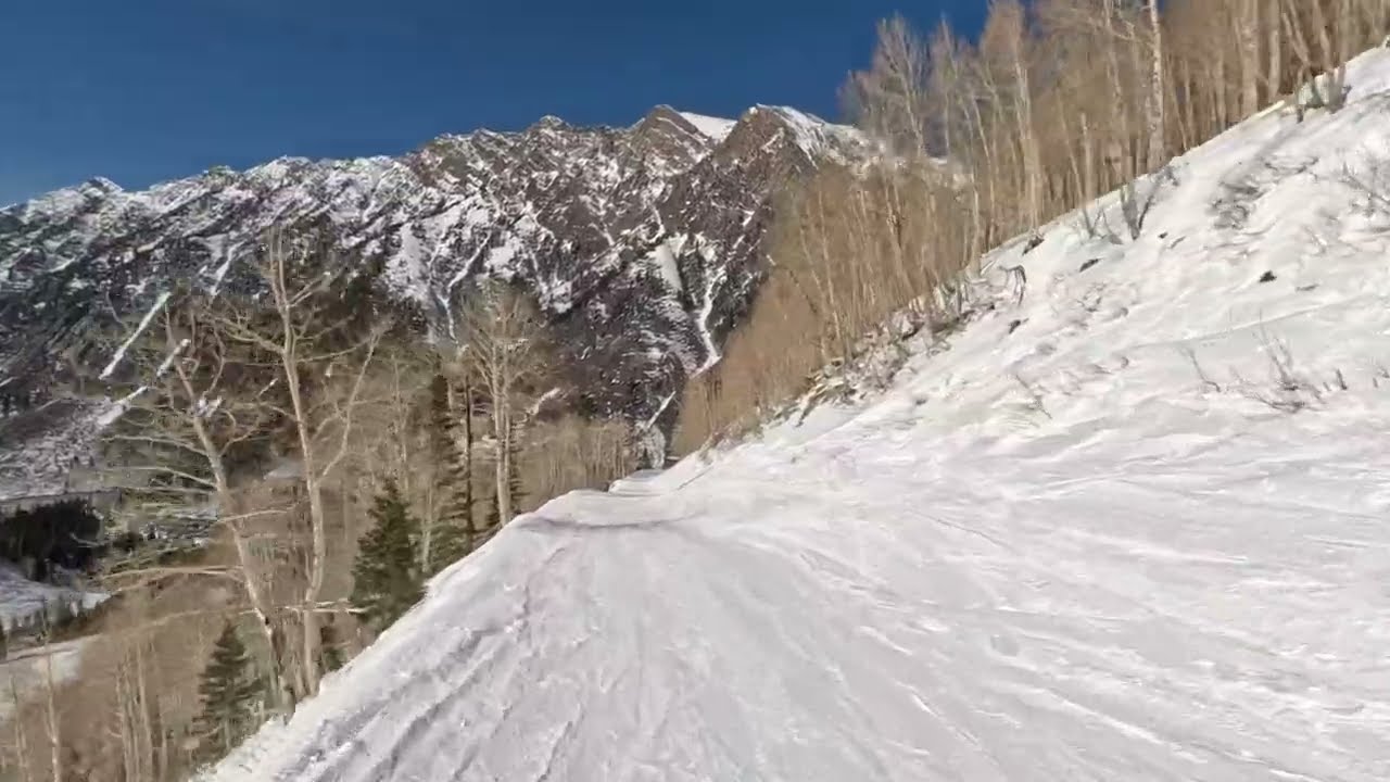 Run 3 Snowbird 2/14/2026