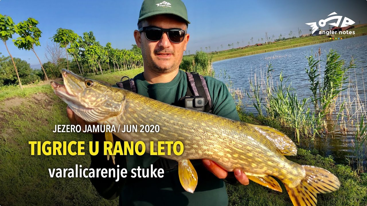 Varalicarenje Stuke - Tigrice u Rano Leto / Fishing Early Summer Pike