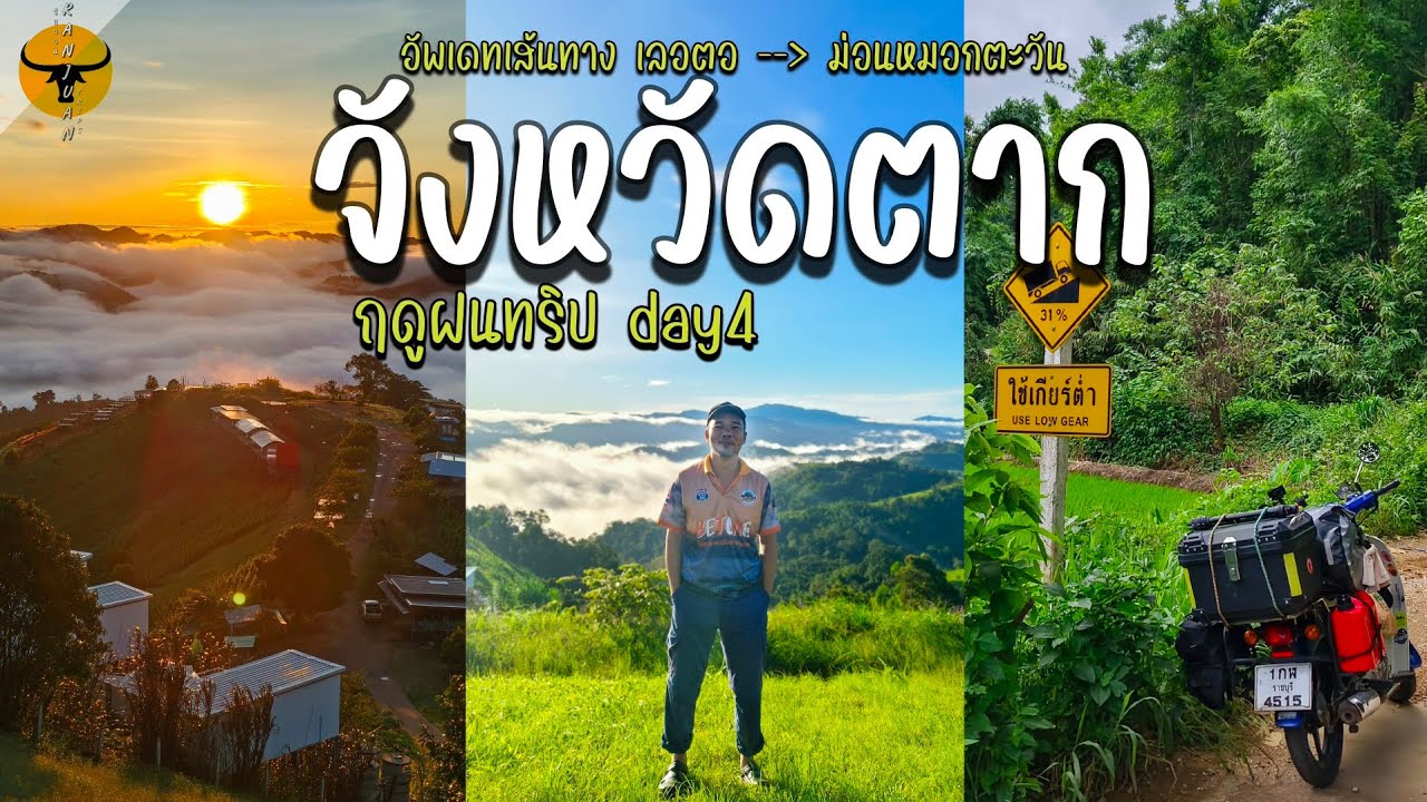 เที่ยวเหนือฤดูฝน | DAY 4 ตาก ชมหมอกสัมผัสเส้นทางถนนลอยฟ้าวิวทุ่งนาสวยสบายตา | รันจวนทริป 