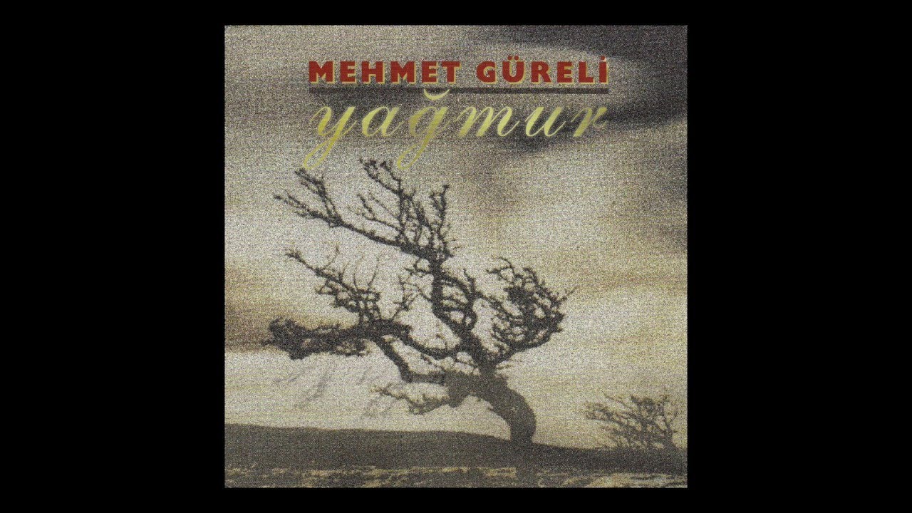 Mehmet G&uuml;reli - Kedi