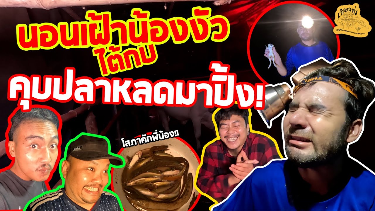 เซียนหรั่ง - วิถีชีวิตแบบมะลายยายอยาก l ตอน นอนเฟ้าน้องงัว ไต้กบ คุบปลาหลดมาปิ้ง