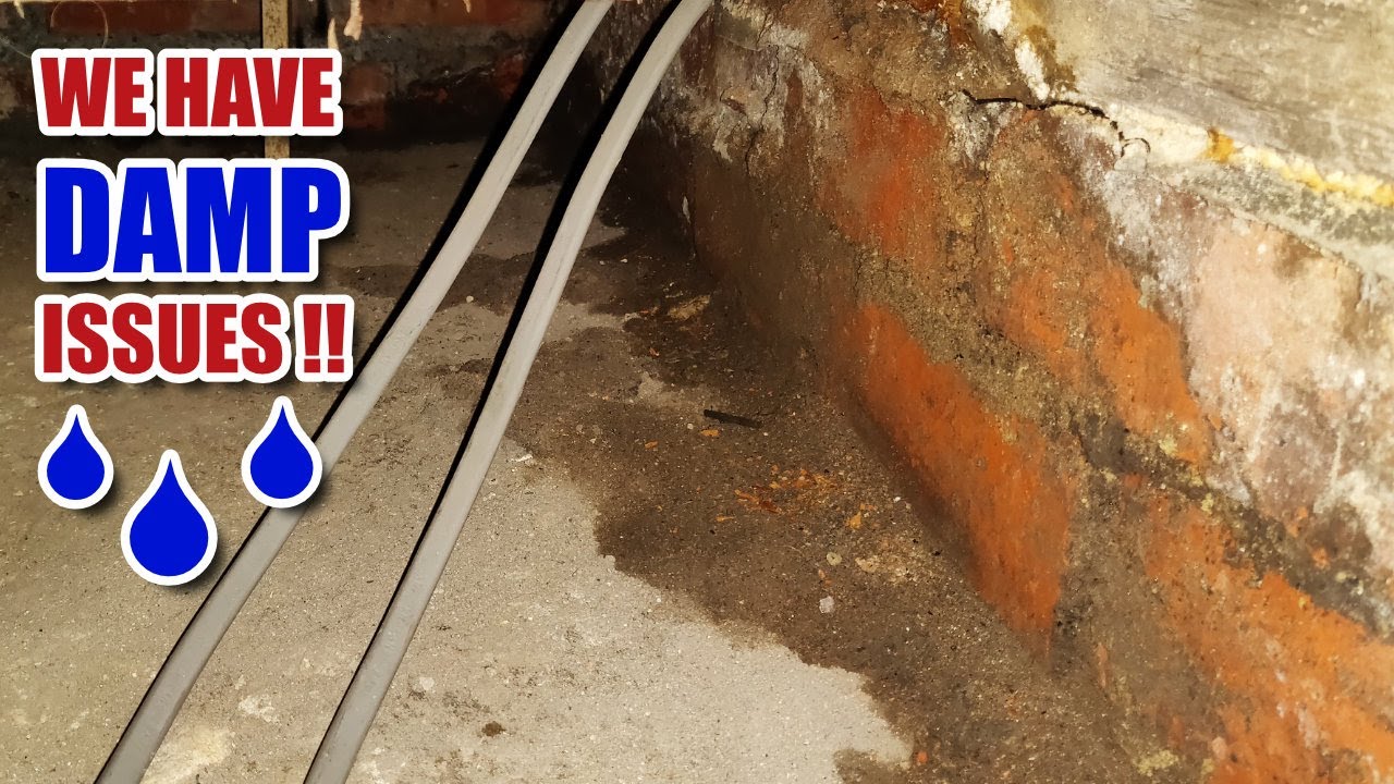 MAJOR damp problems and an update on that mystery pipe! (Renovation Part 17)