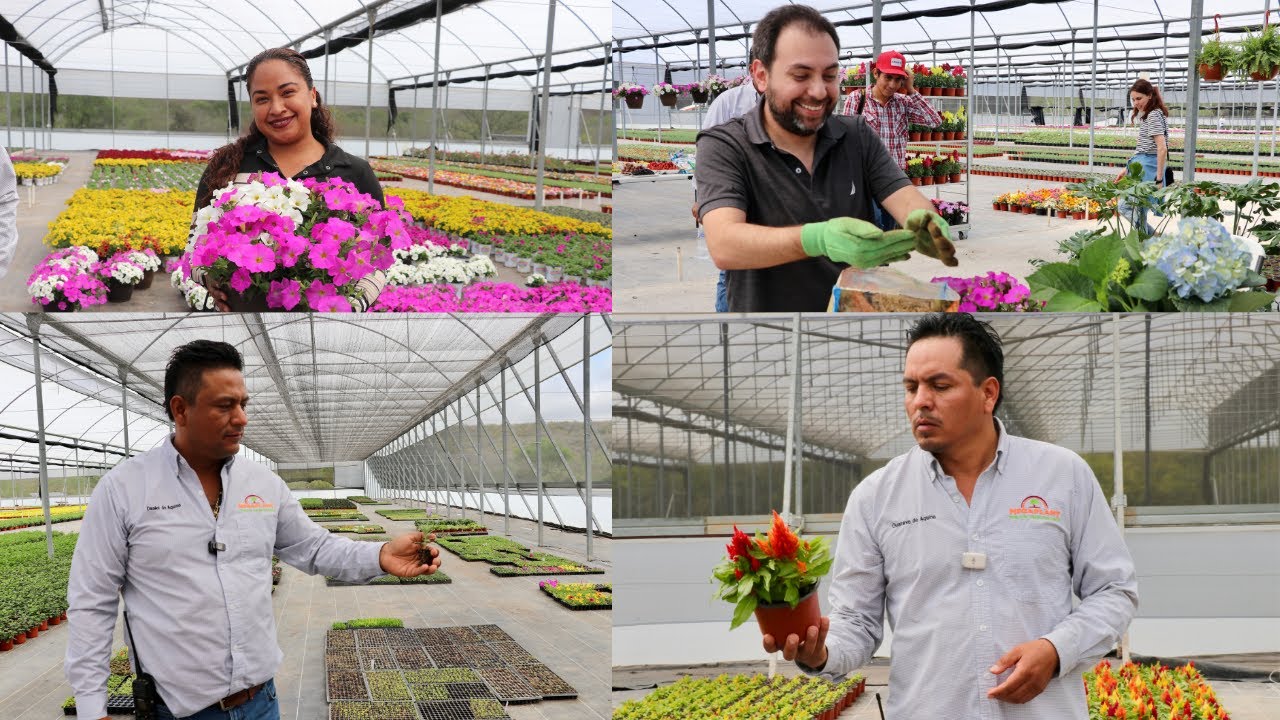 The Home Depot impulsa a los proveedores mexicanos: Megaplant, un caso de éxito en jardinería