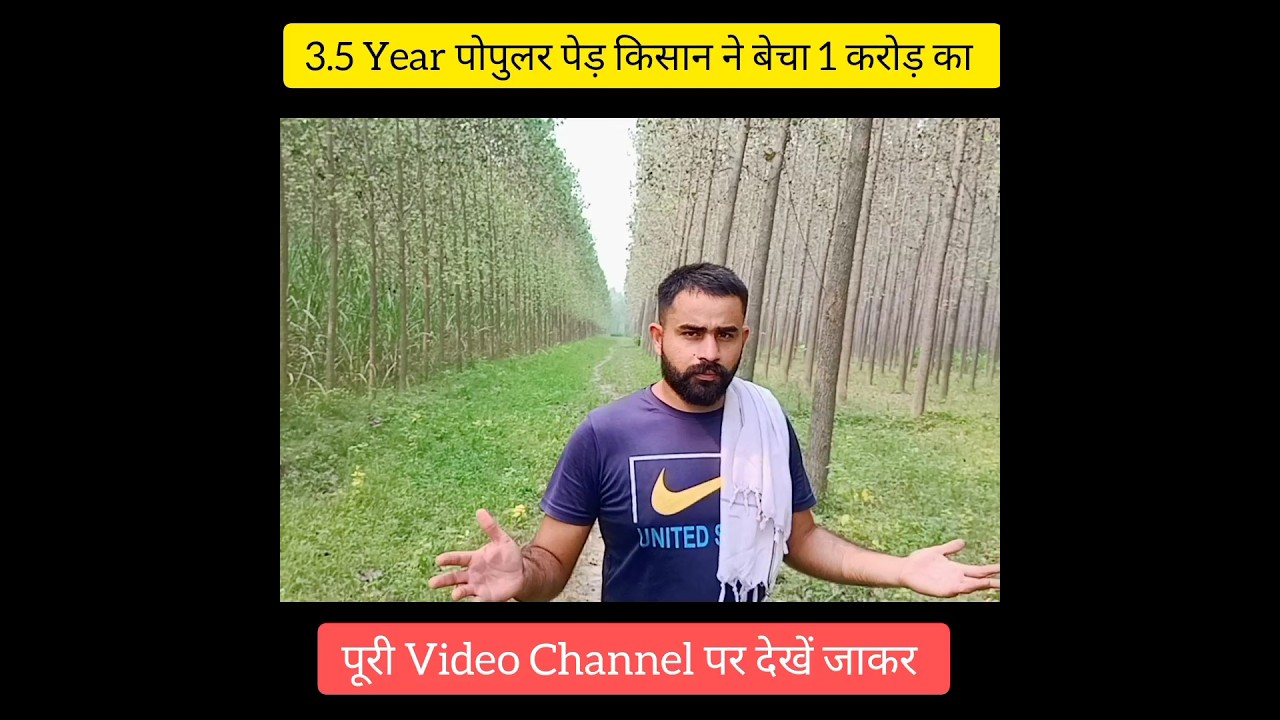 करोड़ो की कमाई पोपुलर पेड़ से #farming#agriculture#kheti