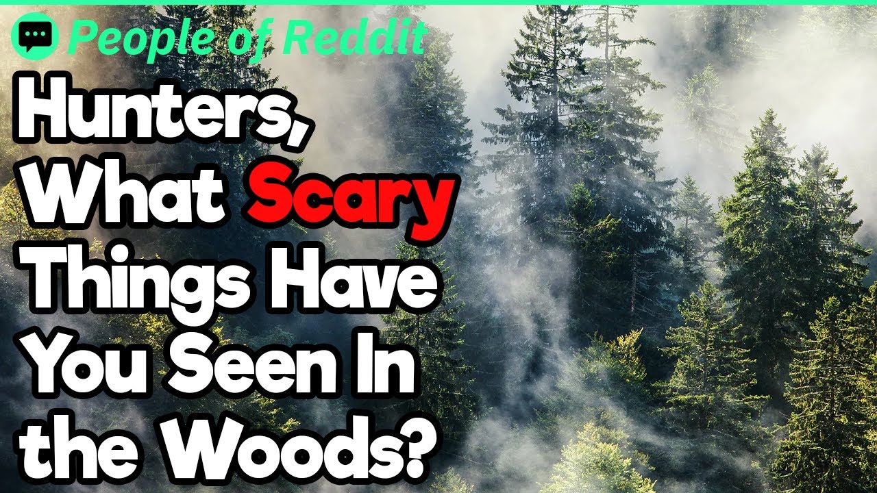 Hunters, What Scary Things Have You Seen In The Woods?