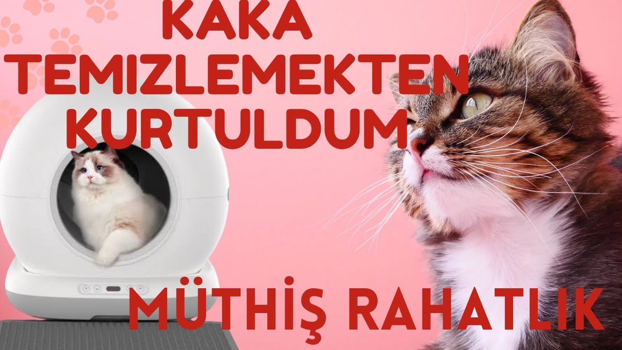Haustier CB001 Otomatik Kedi Tuvaleti Kutu Açılışı | İnceleme
