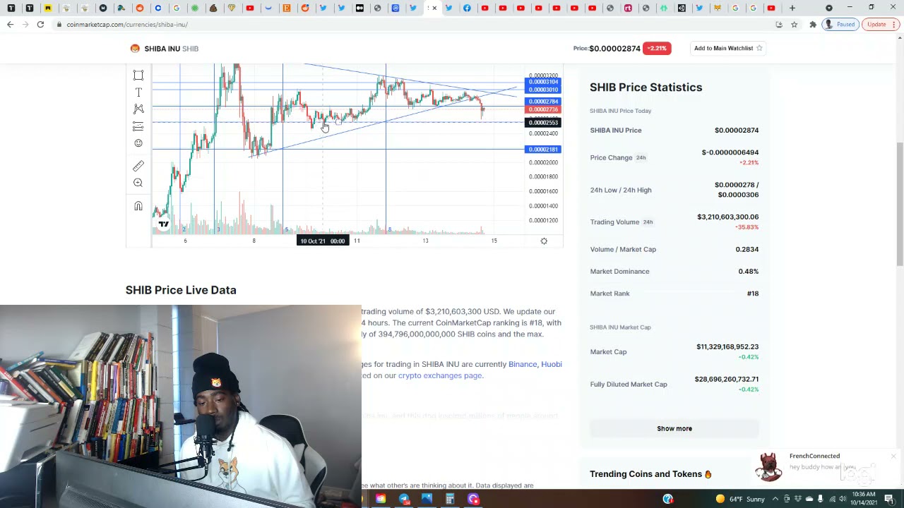 *SERIOUS* Shiba Inu Quick Technical Analysis Flag Pattern Breakdown (DO YOU SEE WHAT I SEE?!) 1 CENT