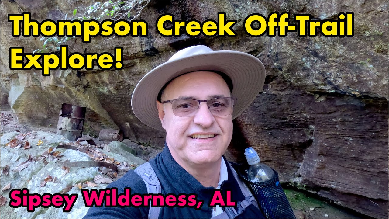 Off-Trail Exploring in the Sipsey Wilderness, Thompson Creek, Along Trail 206, Alabama