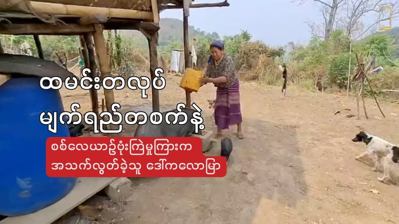 “ထမင်းတလုပ် မျက်ရည်တစက် နဲ့ စစ်လေယာဉ်ဗုံးကြဲမှုကြားက အသက်လွတ်ခဲ့သူ ဒေါ်ကလောမြာ”