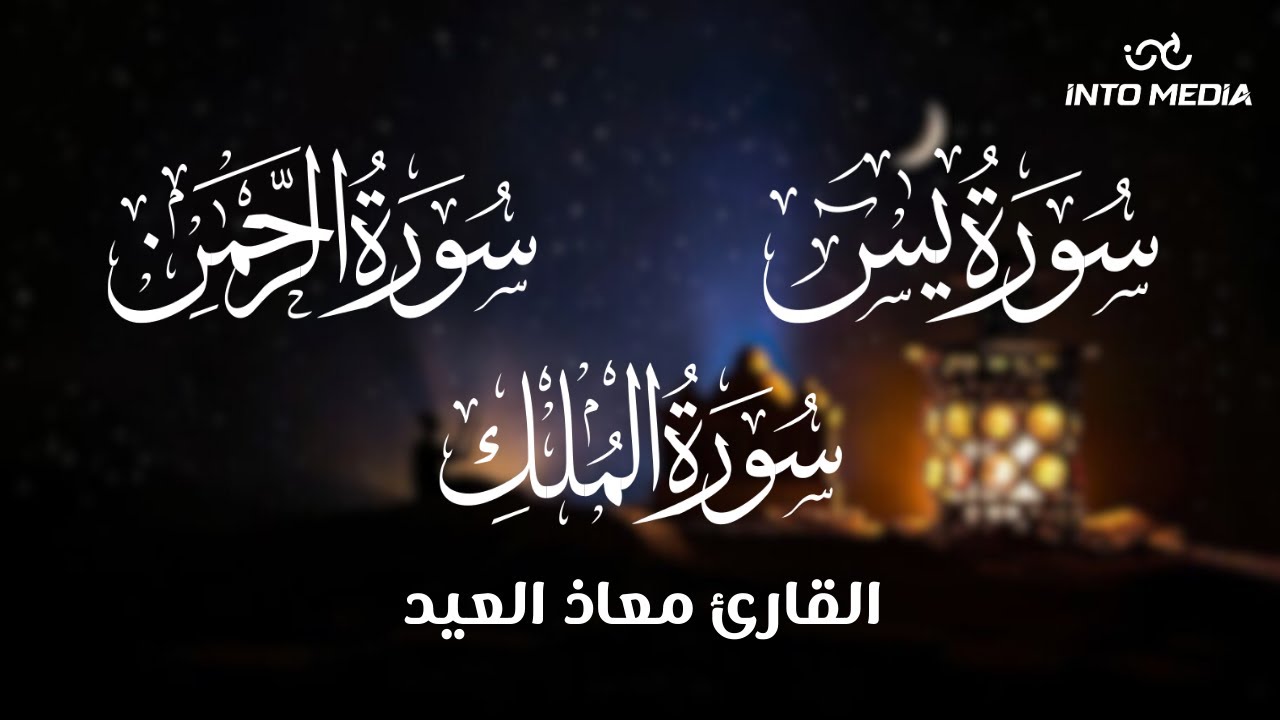 تلاوات مباركة بصوت القارئ معاذ العيد .. سور (يس - الرحمن - الملك)