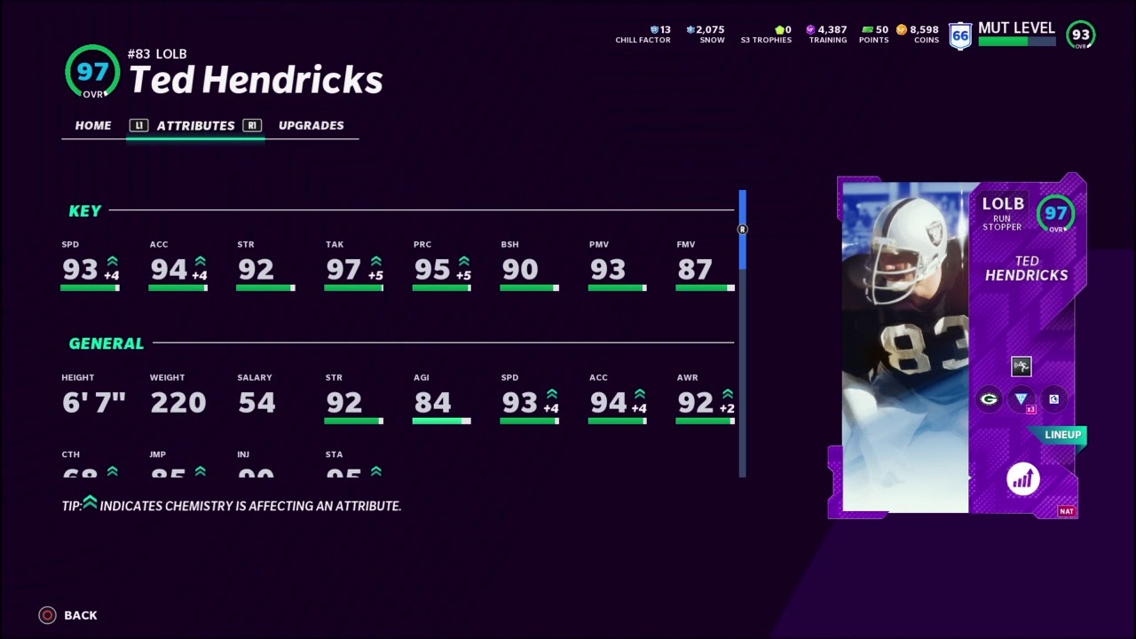 BEST 50/50 PACKERS THEME TEAM