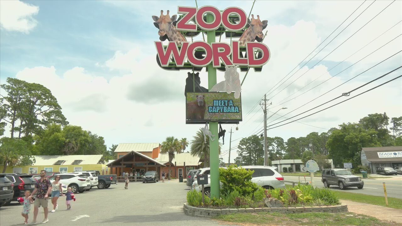 ОБНОВЛЕНИЕ: Животные подверглись жестокому обращению в Zoo World после взлома