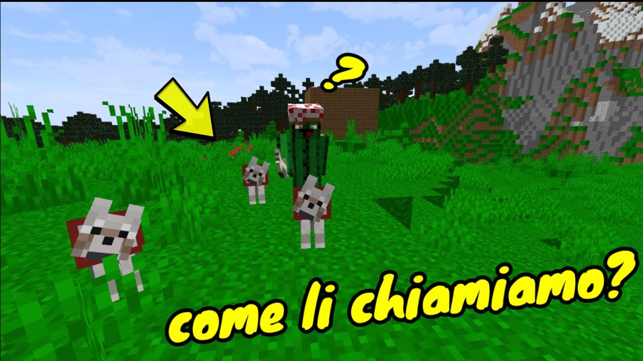 I MIEI PRIMI 3 CANI SU MINECRAFT #vanilla ep 5