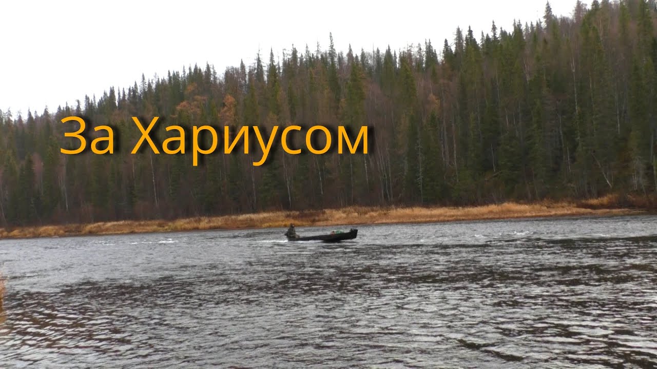 Лесная изба. Проверка избы.Рыбалка на хариуса. Рыбалка 2021.Аэроглиссер,лодка на воздушной подушке.