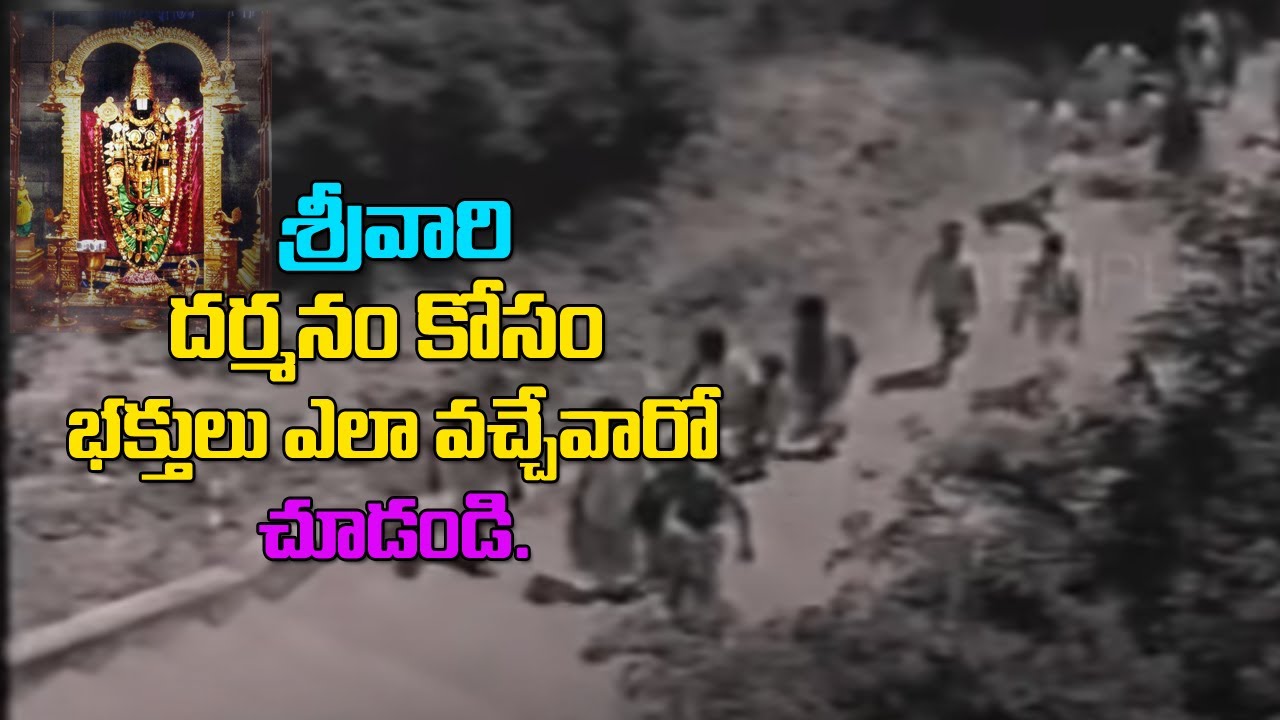 తిరుమల # Tirumala 1970 Video# Tirumala Old Videos #Temple News Today