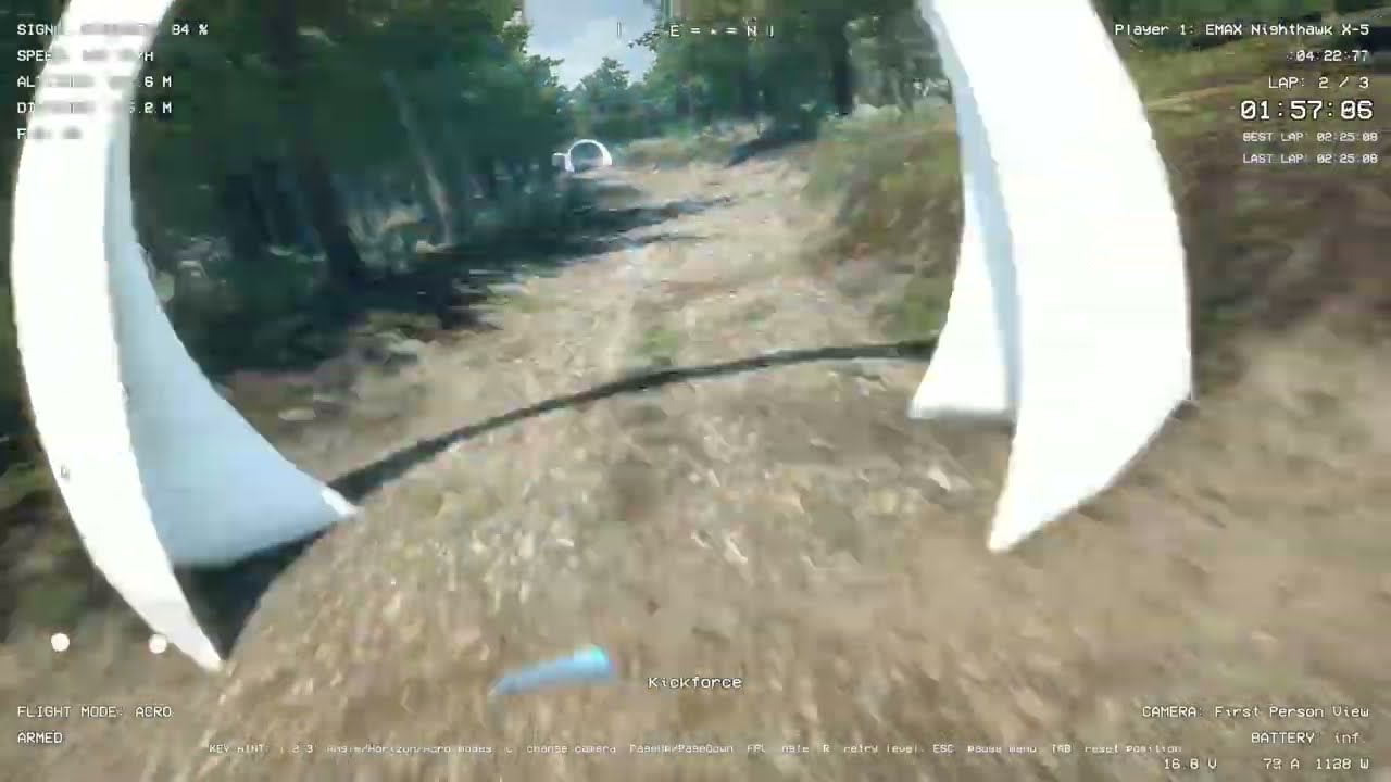 Racing around the virtual woods!