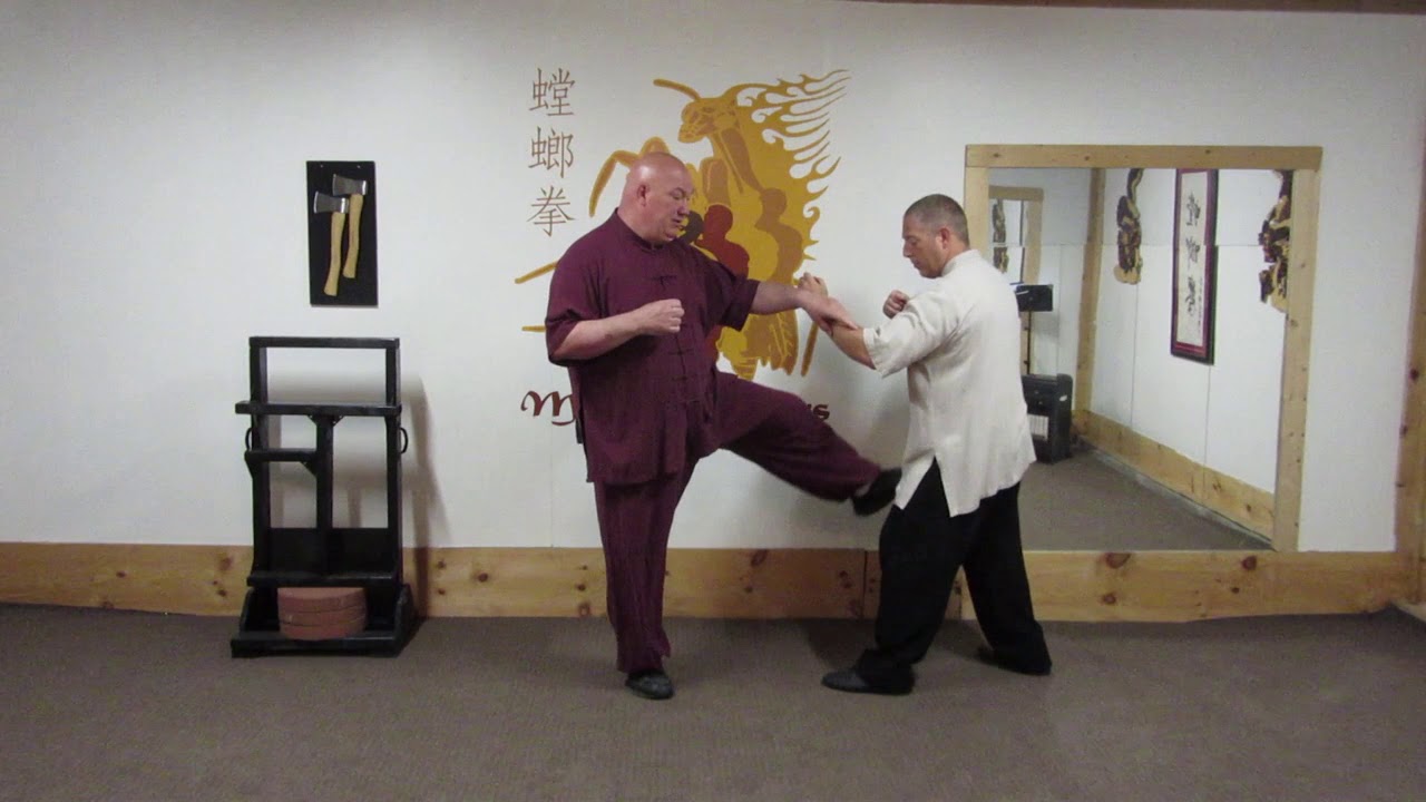 Praying Mantis Kicking Methods 1
