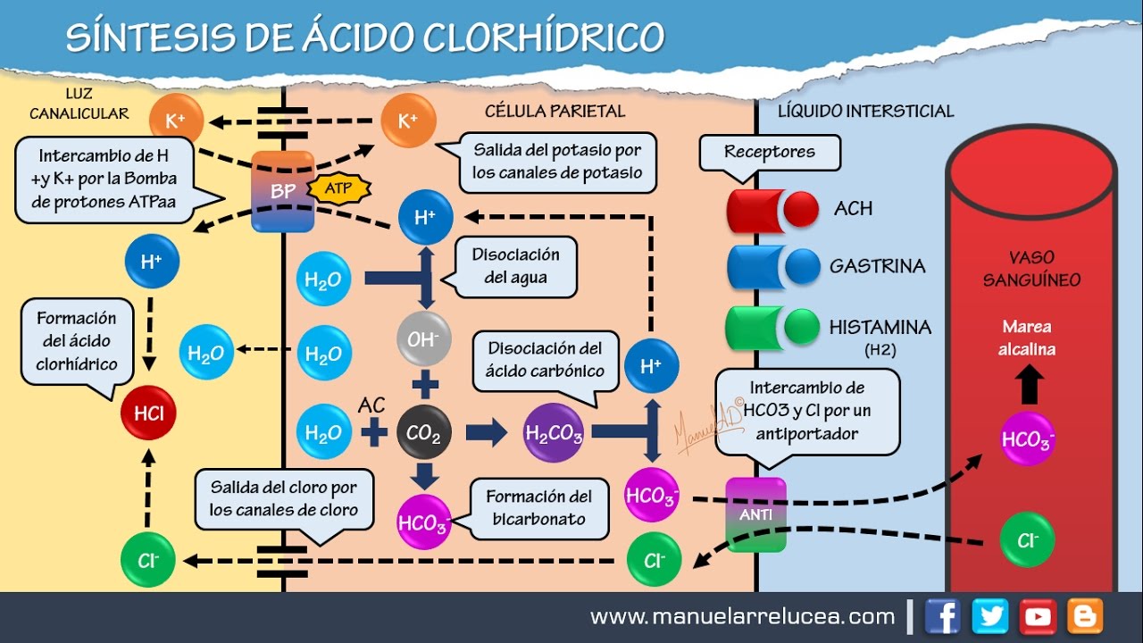 SÍNTESIS DE ÁCIDO CLORHÍDRICO (HCL)
