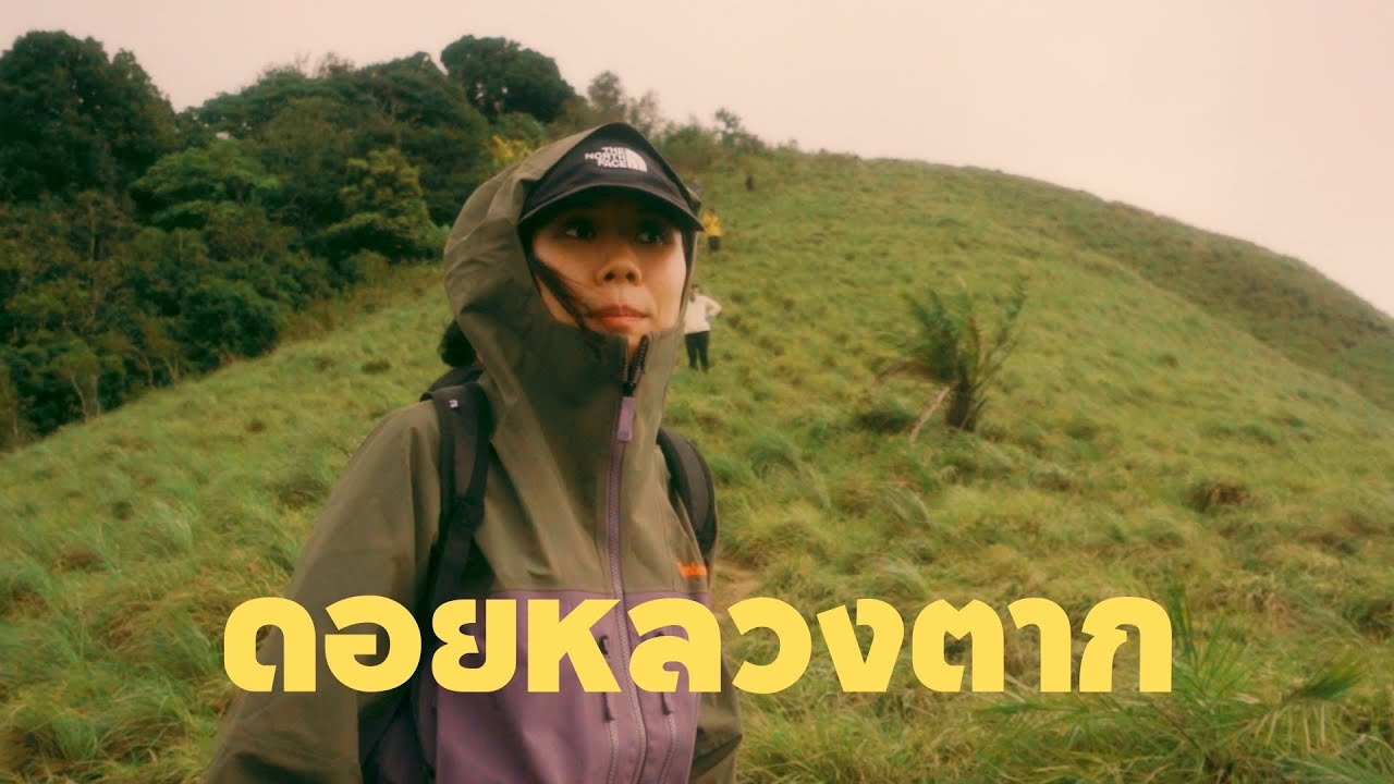 ดอยหลวงตาก เส้นทางเดินป่าไปกลับ 22 กม. ที่สนุก ครบรส แดด ฝน หมอกและลมแรงมากกก