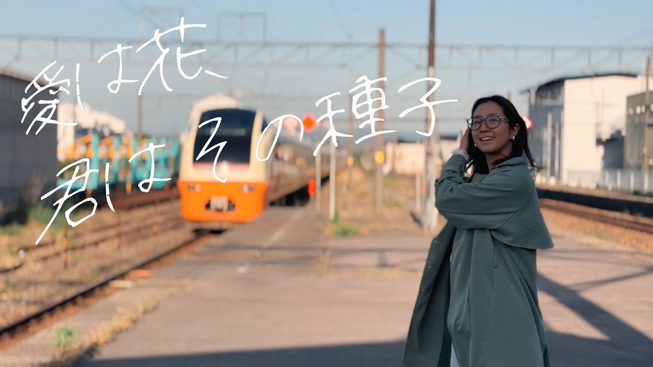 愛は花、君はその種子／都はるみ （Covered by 羽山みずき）