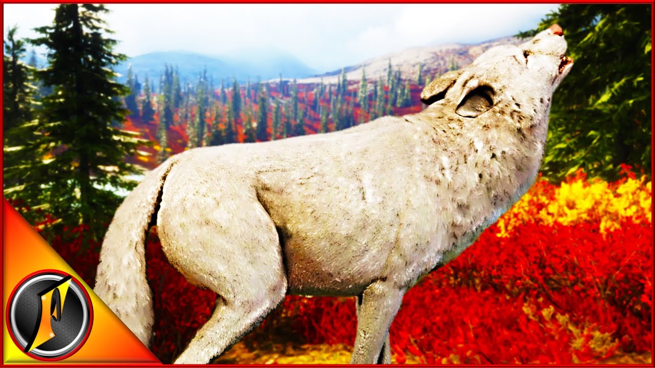 The Wrong Albino! | Wolf Hunt with Rocky!