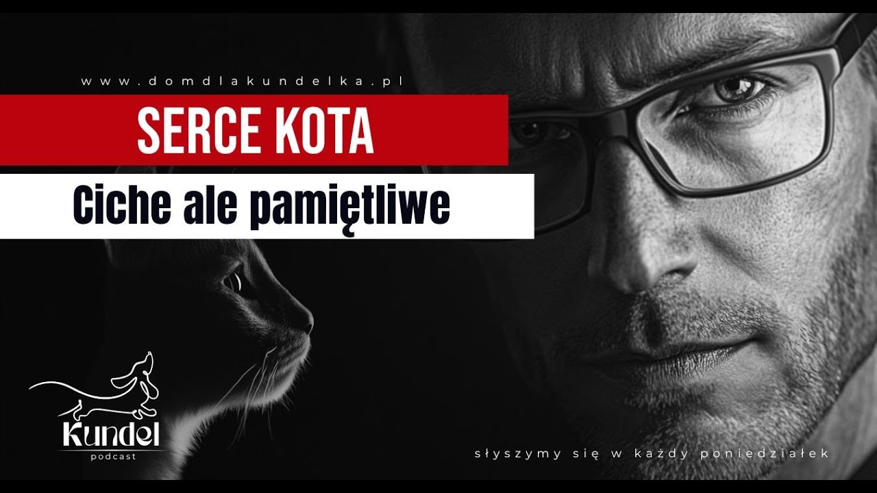 Serce kota. Ciche, ale pamiętliwe. #podcast #pies #podkast #psy #kot  #koty