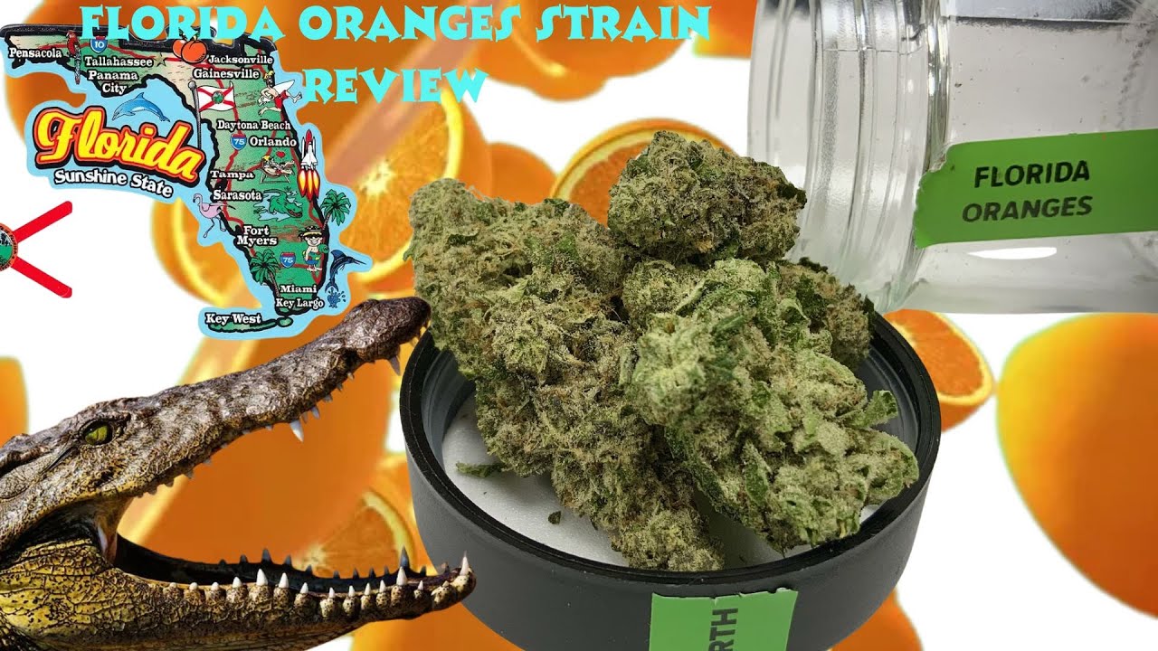 Upnorth florida oranges strain review (you wont believe the effects)