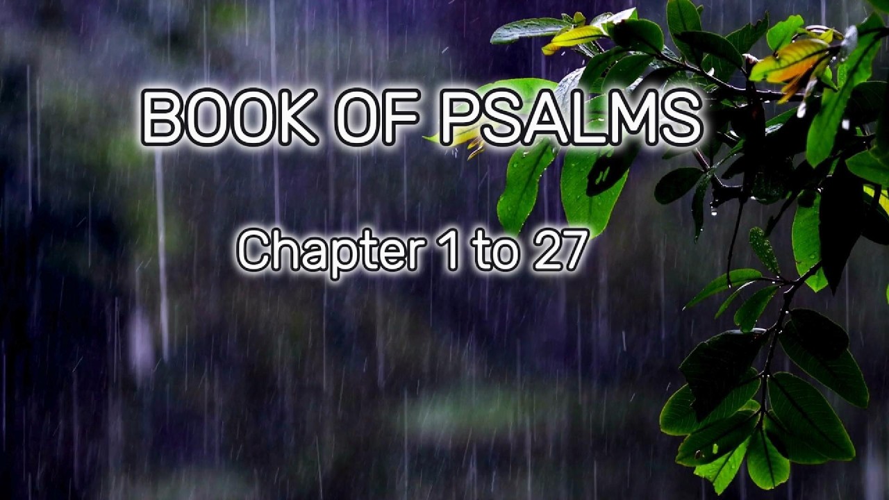 Psalms 1–27| Peaceful Prayer| Gentle Instrumentals & Rain Sounds #prayertime #bibleaudio