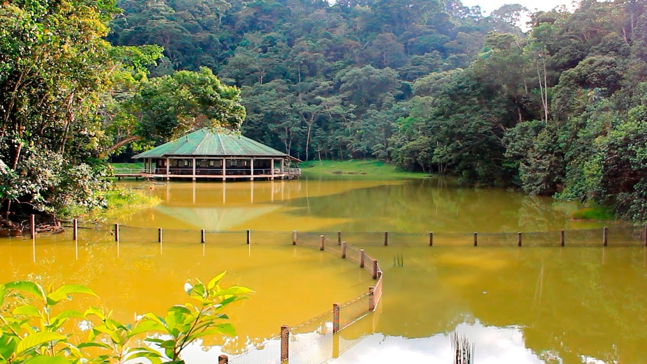 Centro Experimental Amazónico CEA, Putumayo Colombia