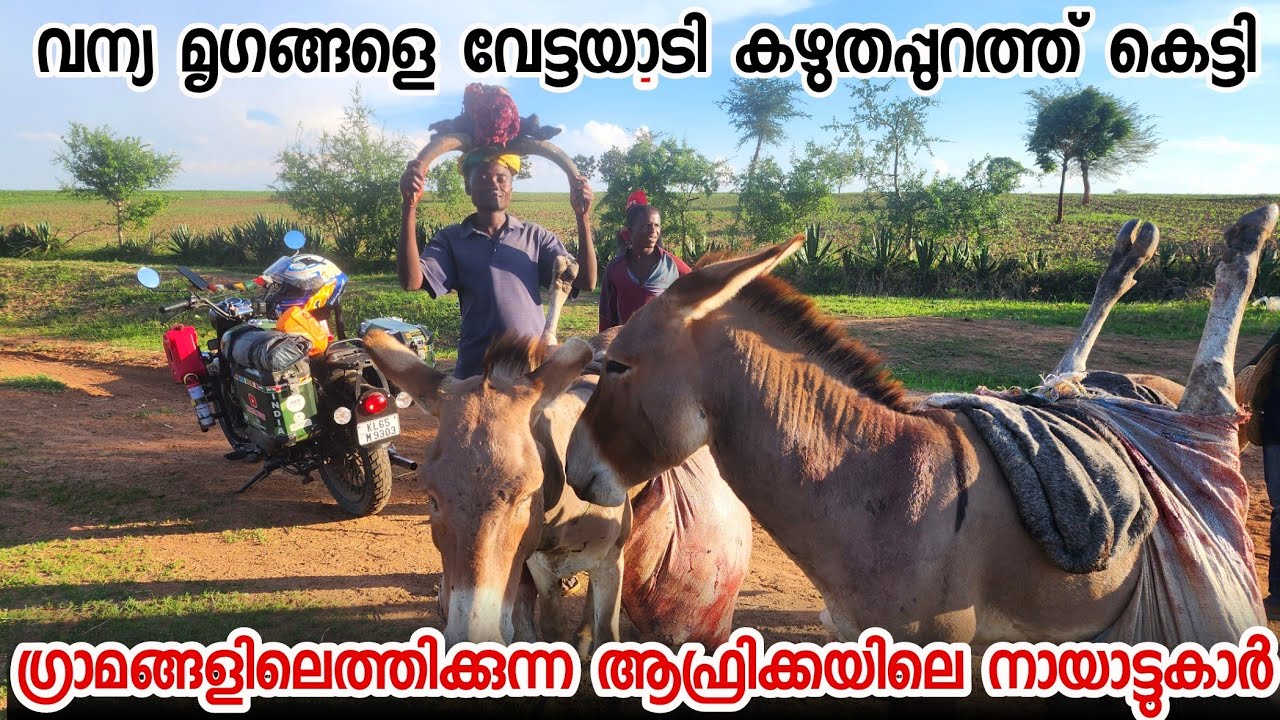 (S2-E42)50 കൊല്ലം പുറകിലുള്ള ആഫ്രിക്കൻ ഗ്രാമങ്ങളുണ്ട് ഇപ്പോഴും | Tanzania Vlog