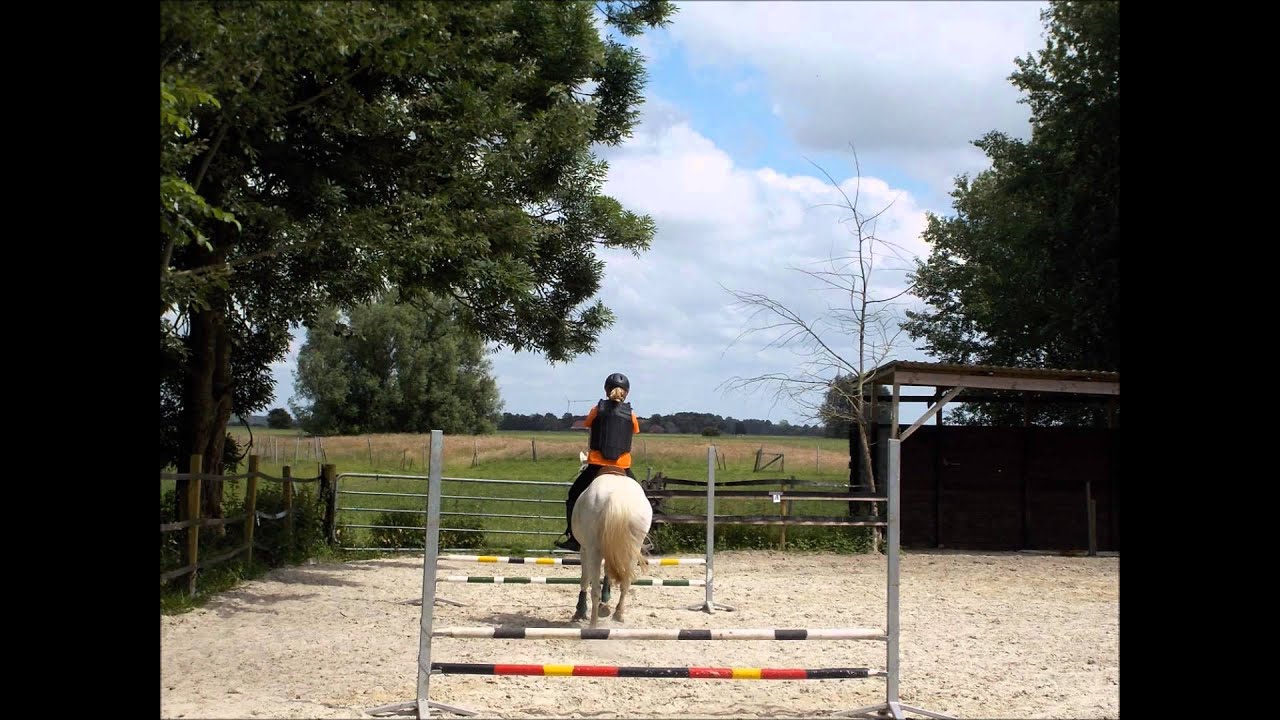 Ausritte + Reitfotos