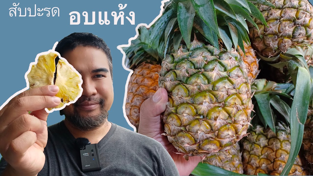 ทำสับปะรดอบแห้งกิน เพื่อลดน้ำหนัก