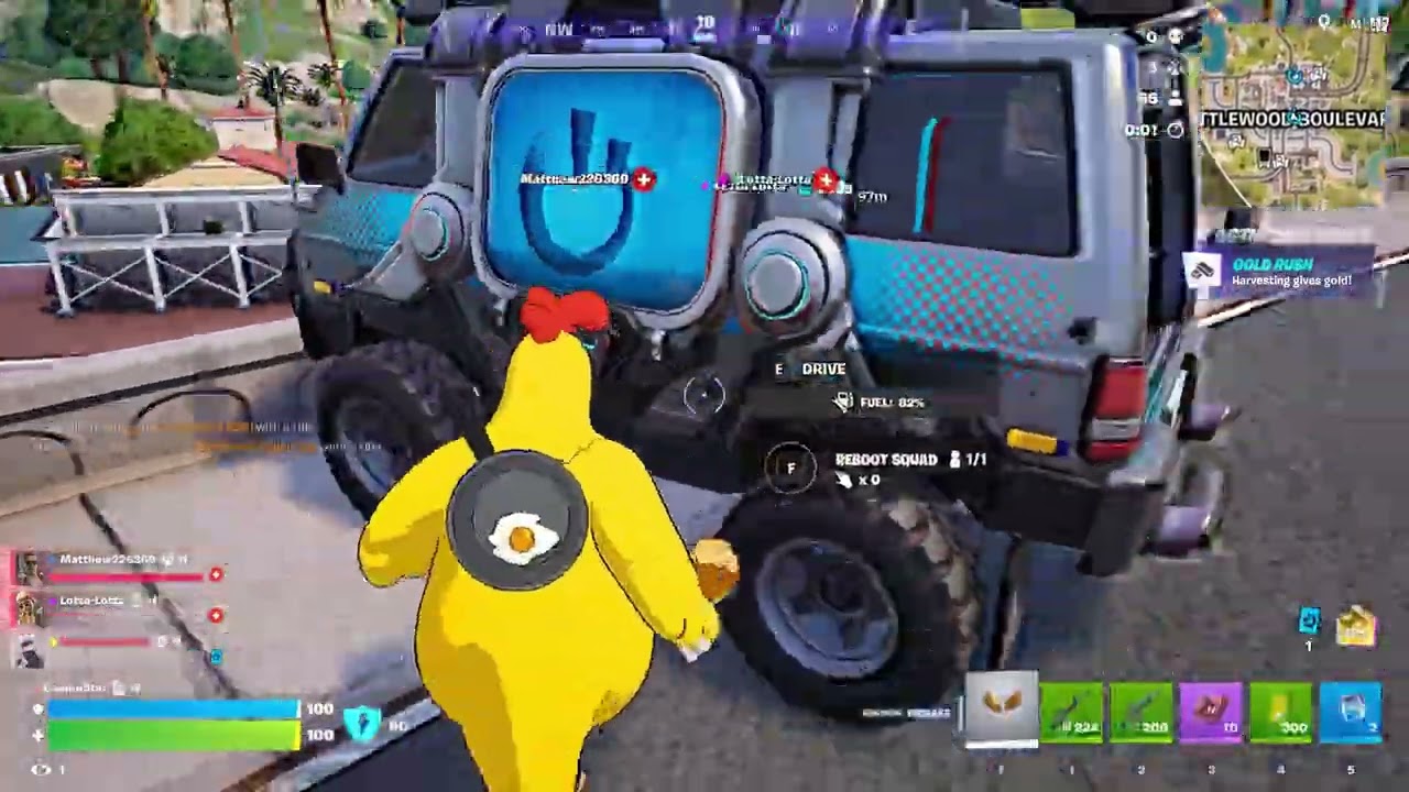 LottaMatthewPumpDori