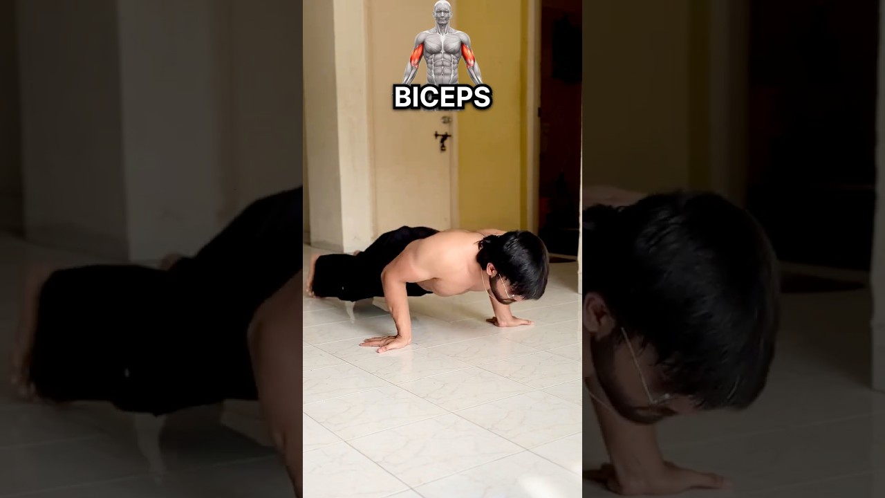 5 Types of Pushups ✅
