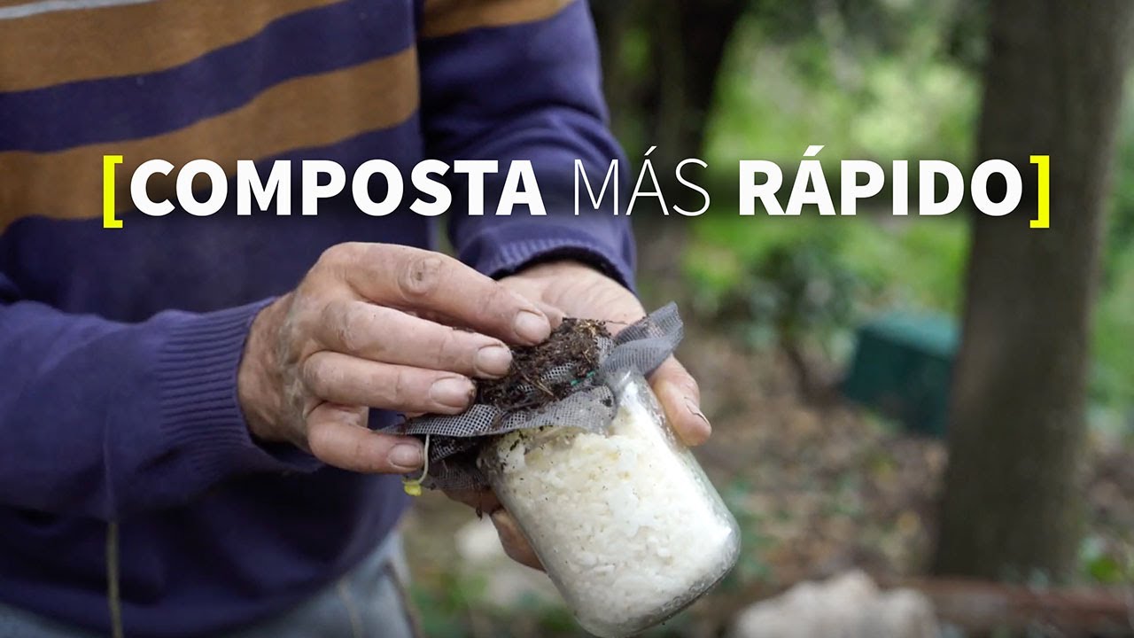 TRUCOS para ACELERAR el COMPOST 🔥  [PERMACULTURA]