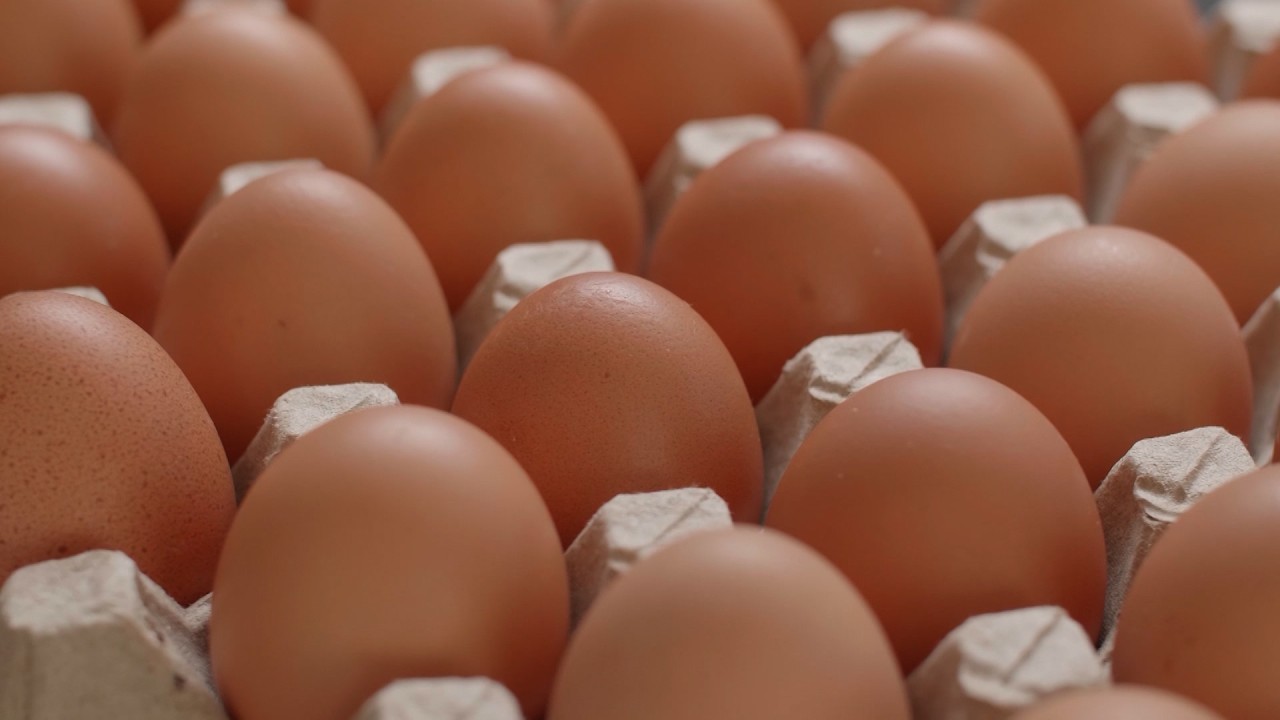 THA Announces Increase In Egg Prices At Government Farms In Tobago