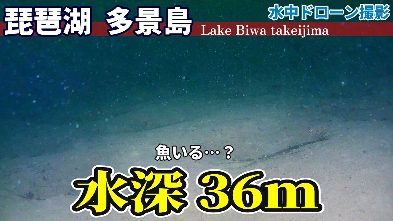 多景島 水深36ｍをドローンで調査【琵琶湖×水中ドローン】