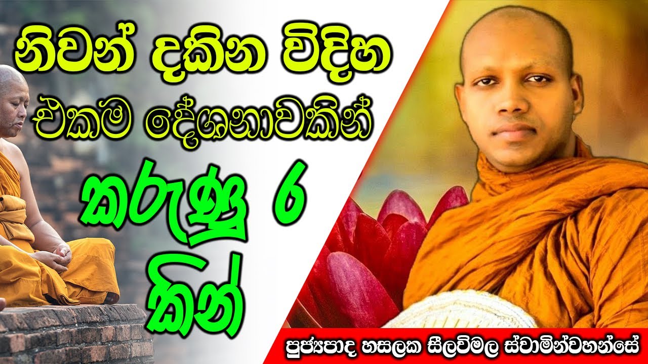 නිවන් දකින විදිහ එකම දේශනාවකින් කරුණු 6 කින් | Hasalaka Seelawimala Thero | #darmadeshana